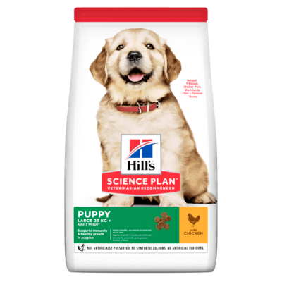 Science Plan Puppy Large Breed Chicken 16kg