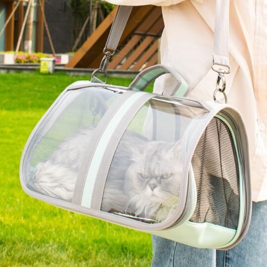 Besky Cat Handbag with Strap