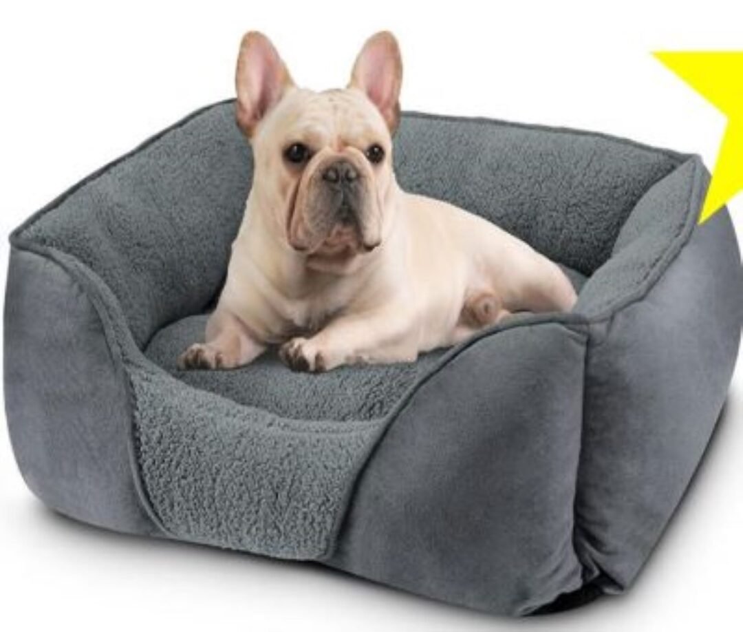 Etrip Pet Bed - Dark Grey - Medium