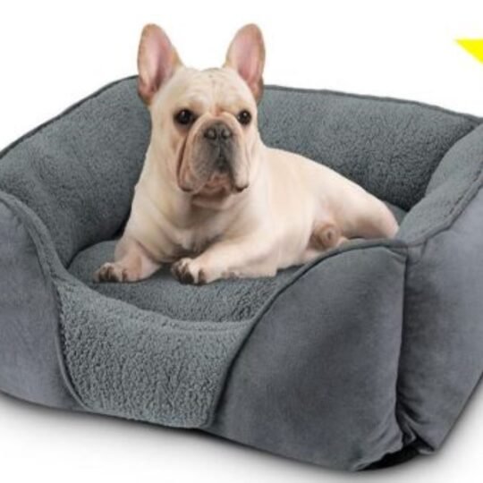Etrip Pet Bed - Dark Grey - Medium