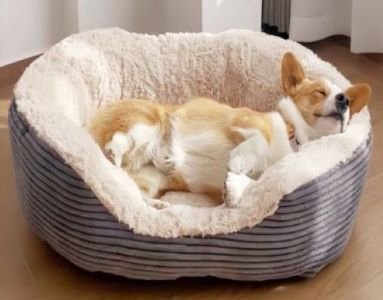 Etrip Pet Bed 60x50x25cm-culdoroy Grey