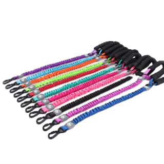Besky Pet Leash Asstd Color