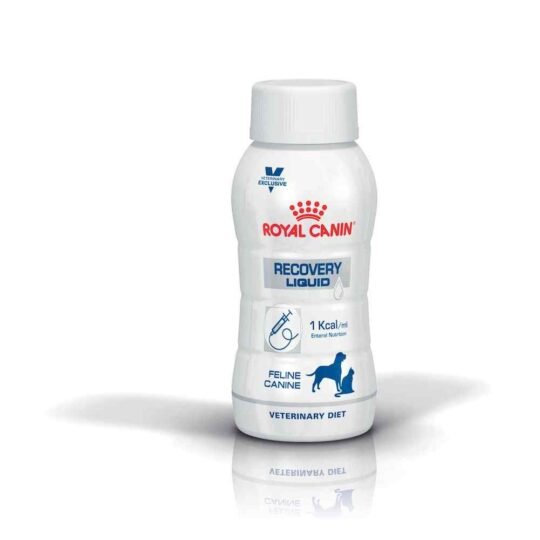 Recovery Liquid Feline and Canine - 3 x 0.2L