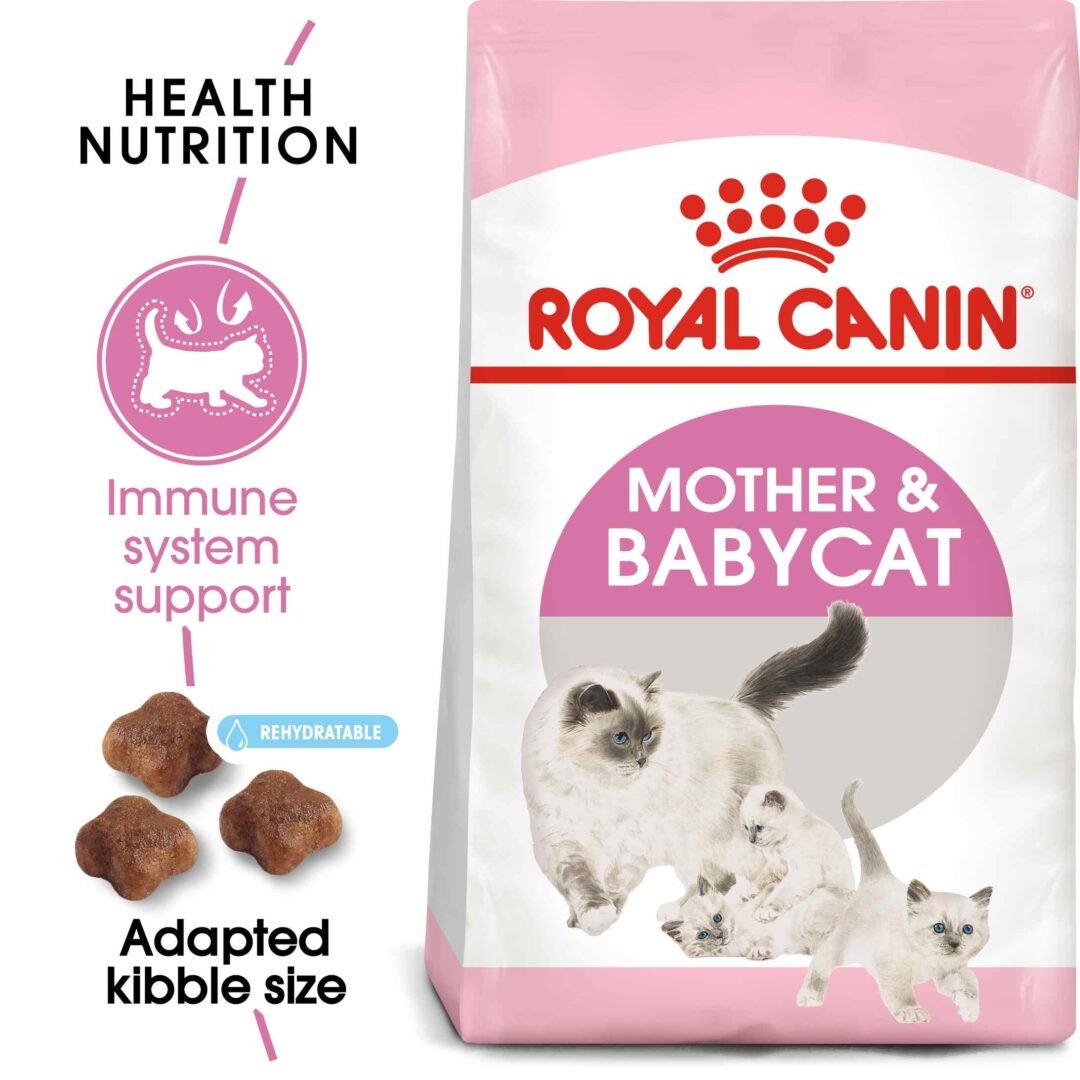 Feline Health Nutrition Mother and Babycat