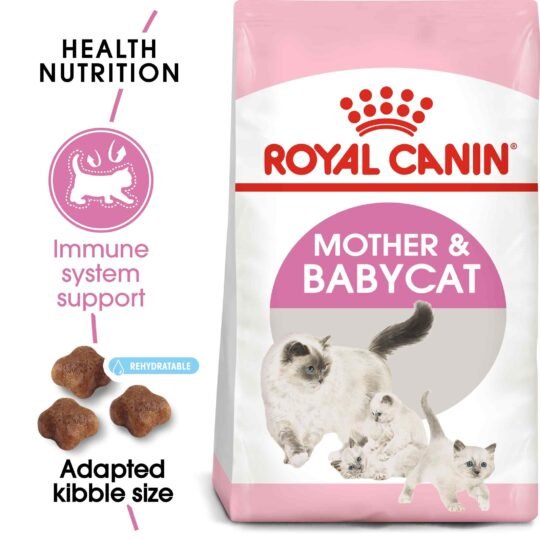 Feline Health Nutrition Mother and Babycat